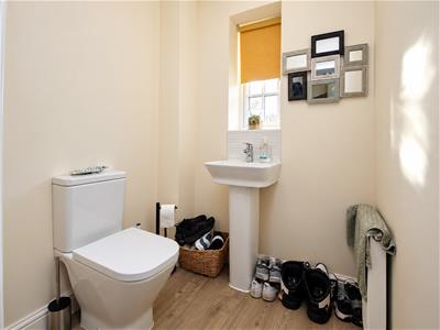 Picture 25